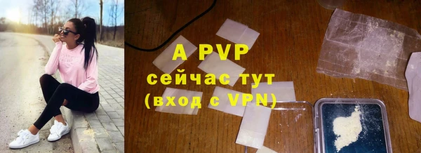 ешки Алексин