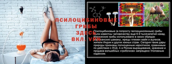 соль курить ск Алзамай