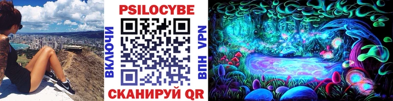 Галлюциногенные грибы Psilocybine cubensis  закладка  Брюховецкая 